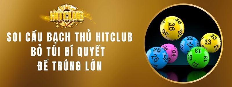 soi cau bach thu hitclub 1